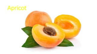 Apricot
 