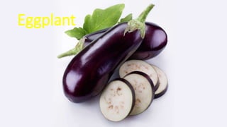 Eggplant
 