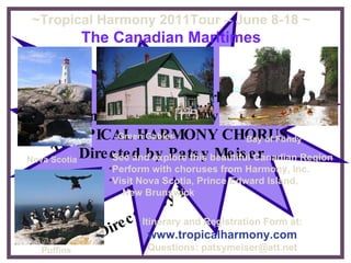 Travel The World In 4-Part Harmony With  TROPICAL HARMONY CHORUS Directed by Patsy Meiser Travel the World  In 4-Part Harmony With TROPICAL HARMONY CHORUS Directed by Patsy Meiser ~Tropical Harmony 2011Tour – June 8-18 ~ The   Canadian Maritimes Nova Scotia Green Gables Bay of Fundy Puffins ,[object Object],[object Object],[object Object],[object Object],Itinerary and Registration Form at: www.tropicalharmony.com Questions: patsymeiser@att.net 