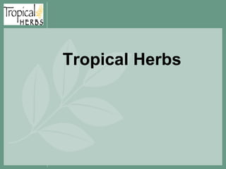 Tropical Herbs
 