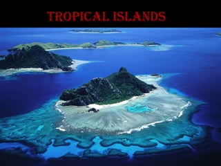Tropical islands
 