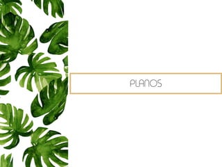 PLANOS
 