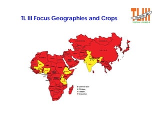 Tropical legumes iii :Improving livelihoods for smallholder farmers:Enhanced grain legume productivity and production in Sub-Saharan Africa and South Asia