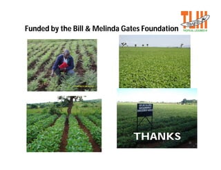 Tropical legumes iii :Improving livelihoods for smallholder farmers:Enhanced grain legume productivity and production in Sub-Saharan Africa and South Asia