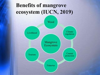 tropical-mangroove-ecosystem-pptx