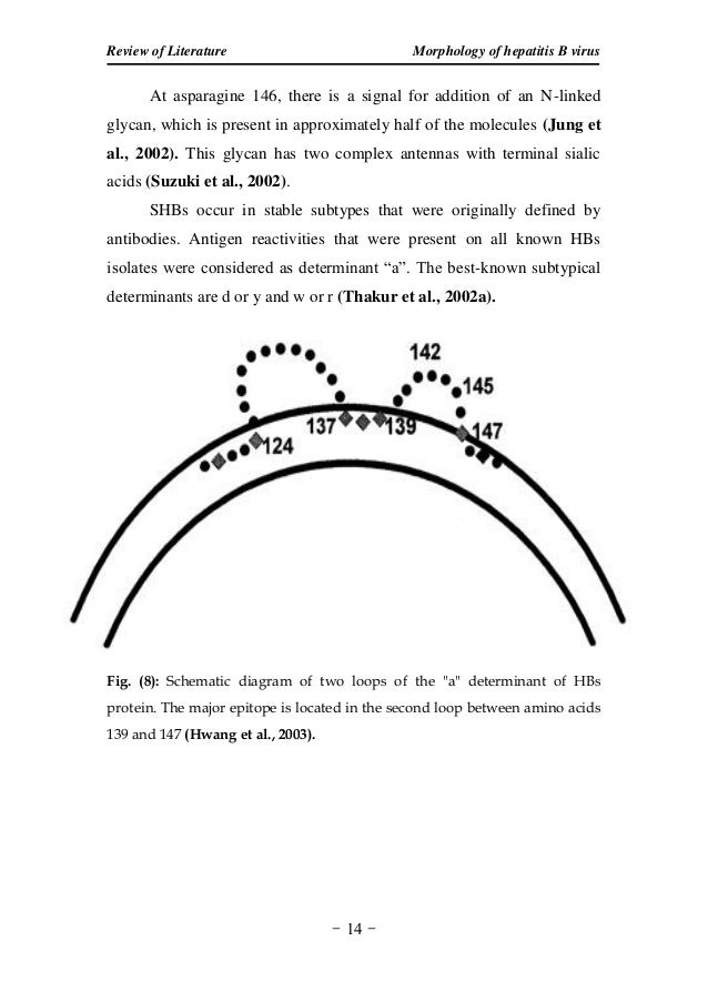 Dissertation on hcv