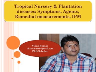 Tropical Nursery & Plantation
diseases: Symptoms, Agents,
Remedial measurements, IPM
Vikas Kumar
vkskumar49@gmail.com
PhD Scholar
 