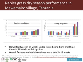 Pan-tropical perspective of recent developments in pasture research and development