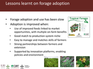 Pan-tropical perspective of recent developments in pasture research and development