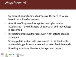 Pan-tropical perspective of recent developments in pasture research and development