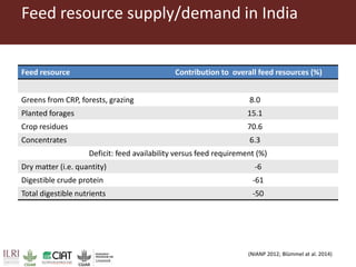 Pan-tropical perspective of recent developments in pasture research and development