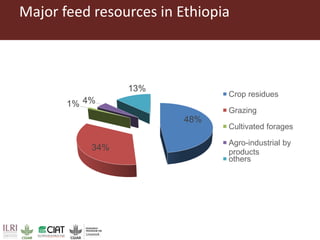 Pan-tropical perspective of recent developments in pasture research and development