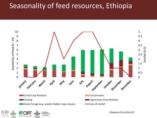 Pan-tropical perspective of recent developments in pasture research and development