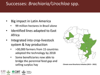 Pan-tropical perspective of recent developments in pasture research and development