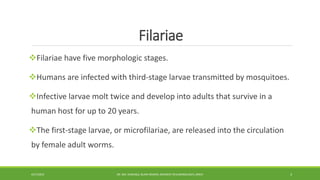 Filariae
Filariae have five morphologic stages.
Humans are infected with third-stage larvae transmitted by mosquitoes.
Infective larvae molt twice and develop into adults that survive in a
human host for up to 20 years.
The first-stage larvae, or microfilariae, are released into the circulation
by female adult worms.
4/27/2023 DR. MD. SHAFIQUL ISLAM DEWAN, RESIDENT (PULMONOLOGY), DMCH 3
 