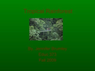Tropical Rainforest By. Jennifer Brumley Educ 373 Fall 2009 