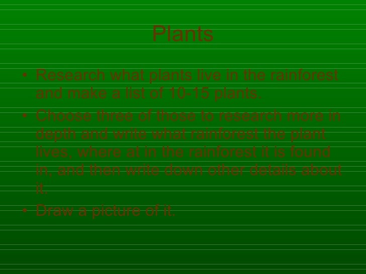 16+ Tropical Rainforest Plants Facts Pics