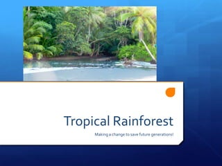 Tropical Rainforest Making a change to save future generations! 
