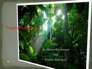 “TropicalRain Forest”
P:3
By Alessandra Watson
And
Roymer Rodriguez
 