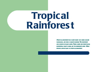 Tropical Rainforest A tropical rainforest has a very humid and warm climate year round, and rain is almost constant. The rainforest also consists of many layers. These layers are forest floor, understory, canopy layer, and the emergent layer.  Many species can be found in a tropical rainforest. 