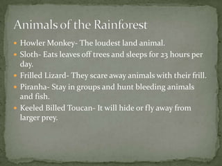 Tropical rainforest | PPT