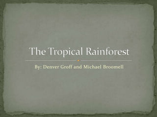 By: Denver Groff and Michael Broomell The Tropical Rainforest 