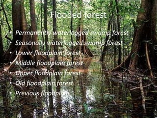Flooded forest
• Permanently waterlogged swamp forest
• Seasonally waterlogged swamp forest
• Lower floodplain forest
• Middle floodplain forest
• Upper floodplain forest
• Old floodplain forest
• Previous floodplain
 