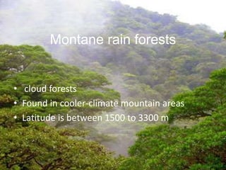 Montane rain forests
• cloud forests
• Found in cooler-climate mountain areas
• Latitude is between 1500 to 3300 m
 