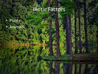 Biotic Factors
• Plants
• Animals
 