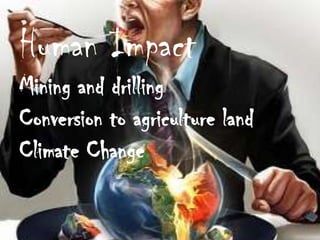 Human Impact
Mining and drilling
Conversion to agriculture land
Climate Change
 