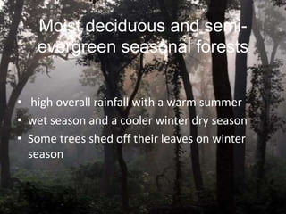 Moist deciduous and semi-
   evergreen seasonal forests


• high overall rainfall with a warm summer
• wet season and a cooler winter dry season
• Some trees shed off their leaves on winter
  season
 