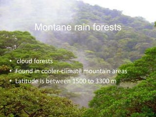 Montane rain forests


• cloud forests
• Found in cooler-climate mountain areas
• Latitude is between 1500 to 3300 m
 