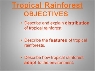 Tropical Rainforest
OBJECTIVES
• Describe and explain distribution
of tropical rainforest.
• Describe the features of tropical
rainforests.
• Describe how tropical rainforest
adapt to the environment.
 
