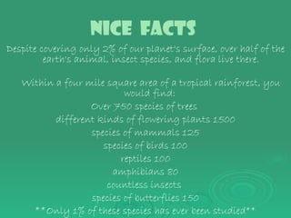 Nice  facts   Despite covering only 2% of our planet's surface, over half of the earth's animal, insect species, and flora live there . Within a four mile square area of a tropical rainforest, you would find :  Over 750 species of trees   different kinds of flowering plants   1500 species of mammals   125 species of birds   100 reptiles   100 amphibians   80 countless insects   species of butterflies   150 ** Only 1% of these species has ever been studied ** 