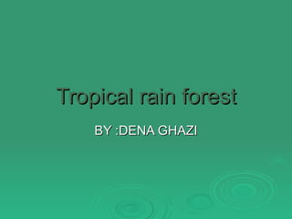 Tropical rain forest BY :DENA GHAZI 
