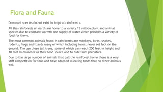 Flora and Fauna
Dominant species do not exist in tropical rainforests.
All the rainforests on earth are home to a variety 15 million plant and animal
species due to constant warmth and supply of water which provides a variety of
food for them.
The most common animals found in rainforests are monkeys, birds, snakes,
rodents, frogs and lizards many of which including insect never set foot on the
ground. The use these tall trees, some of which can reach 200 feet in height and
10 feet in diameter as their food source and to hide from predators.
Due to the large number of animals that call the rainforest home there is a very
stiff competition for food and have adapted to eating foods that no other animals
eat.
 