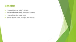Benefits
 Help stabilize the world’s climate
 Provide a home to many plants and animals
 Help maintain the water cycle
 Protect against flood, drought, and erosion
 
