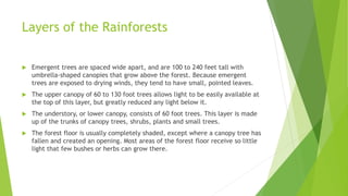 Layers of the Rainforests
 Emergent trees are spaced wide apart, and are 100 to 240 feet tall with
umbrella-shaped canopies that grow above the forest. Because emergent
trees are exposed to drying winds, they tend to have small, pointed leaves.
 The upper canopy of 60 to 130 foot trees allows light to be easily available at
the top of this layer, but greatly reduced any light below it.
 The understory, or lower canopy, consists of 60 foot trees. This layer is made
up of the trunks of canopy trees, shrubs, plants and small trees.
 The forest floor is usually completely shaded, except where a canopy tree has
fallen and created an opening. Most areas of the forest floor receive so little
light that few bushes or herbs can grow there.
 
