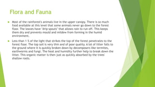 Flora and Fauna
 Most of the rainforest's animals live in the upper canopy. There is so much
food available at this level that some animals never go down to the forest
floor. The leaves have "drip spouts" that allows rain to run off. This keeps
them dry and prevents mould and mildew from forming in the humid
environment.
 Less than 1 % of the light that strikes the top of the forest penetrates to the
forest floor. The top soil is very thin and of poor quality. A lot of litter falls to
the ground where it is quickly broken down by decomposers like termites,
earthworms and fungi. The heat and humidity further help to break down the
litter. This organic matter is then just as quickly absorbed by the trees'
shallow roots.
 