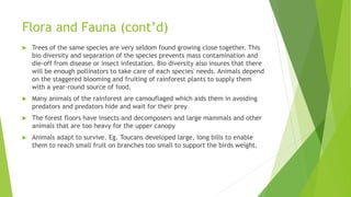 Flora and Fauna (cont’d)
 Trees of the same species are very seldom found growing close together. This
bio diversity and separation of the species prevents mass contamination and
die-off from disease or insect infestation. Bio diversity also insures that there
will be enough pollinators to take care of each species' needs. Animals depend
on the staggered blooming and fruiting of rainforest plants to supply them
with a year-round source of food.
 Many animals of the rainforest are camouflaged which aids them in avoiding
predators and predators hide and wait for their prey
 The forest floors have insects and decomposers and large mammals and other
animals that are too heavy for the upper canopy
 Animals adapt to survive. Eg. Toucans developed large, long bills to enable
them to reach small fruit on branches too small to support the birds weight.
 