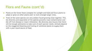 Flora and Fauna (cont’d)
 Plants on the forest floors compete for sunlight and food and force plants to
adapt or grow on other plants and/ or even strangle larger trees.
 Trees of the same species are very seldom found growing close together. This
bio diversity and separation of the species prevents mass contamination and
die-off from disease or insect infestation. Bio diversity also insures that there
will be enough pollinators to take care of each species' needs. Animals depend
on the staggered blooming and fruiting of rainforest plants to supply them
with a year-round source of food.
 