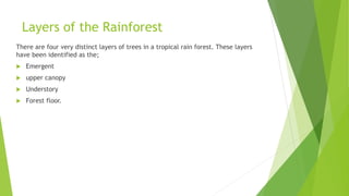 Layers of the Rainforest
There are four very distinct layers of trees in a tropical rain forest. These layers
have been identified as the;
 Emergent
 upper canopy
 Understory
 Forest floor.
 