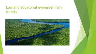 Lowland equatorial evergreen rain
forests
 