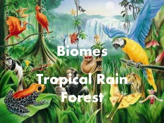 Biomes
Tropical Rain
Forest
 