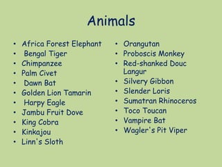 Animals
• Africa Forest Elephant
• Bengal Tiger
• Chimpanzee
• Palm Civet
• Dawn Bat
• Golden Lion Tamarin
• Harpy Eagle
• Jambu Fruit Dove
• King Cobra
• Kinkajou
• Linn's Sloth
• Orangutan
• Proboscis Monkey
• Red-shanked Douc
Langur
• Silvery Gibbon
• Slender Loris
• Sumatran Rhinoceros
• Toco Toucan
• Vampire Bat
• Wagler's Pit Viper
 
