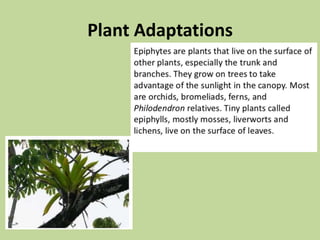 Plant Adaptations
 