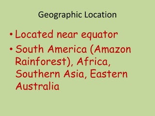 Geographic Location
• Located near equator
• South America (Amazon
Rainforest), Africa,
Southern Asia, Eastern
Australia
 