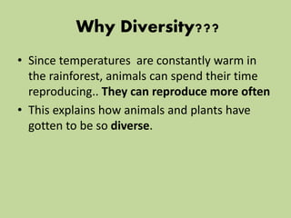 Why Diversity???
• Since temperatures are constantly warm in
the rainforest, animals can spend their time
reproducing.. They can reproduce more often
• This explains how animals and plants have
gotten to be so diverse.
 