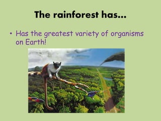 The rainforest has…
• Has the greatest variety of organisms
on Earth!
 