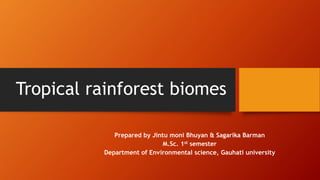 Tropical rainforest biomes
Prepared by Jintu moni Bhuyan & Sagarika Barman
M.Sc. 1st semester
Department of Environmental science, Gauhati university
 